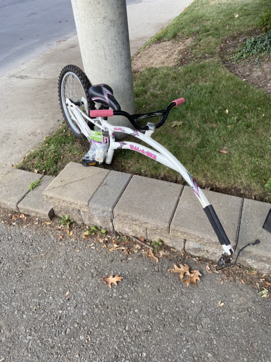 Trail-a-bike - gently used thumbnail