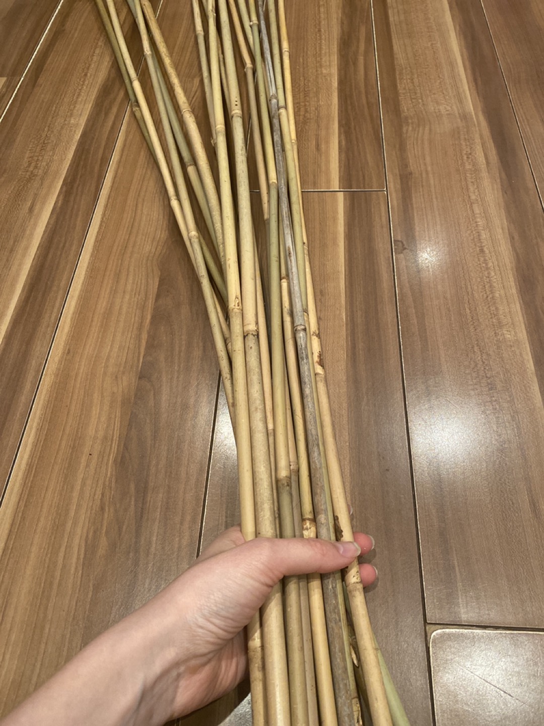 Decorative bamboo image indicator(2)