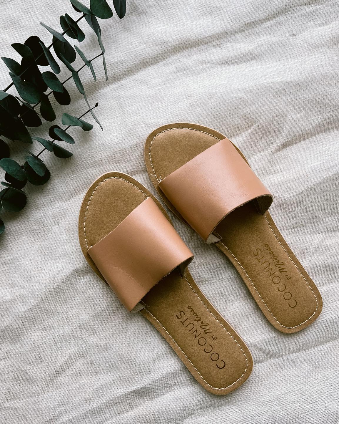 Coconut by Matisse Slides - New image indicator(2)