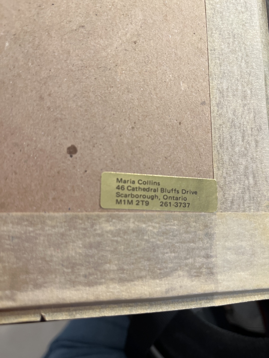 Owl artwork image indicator(4)