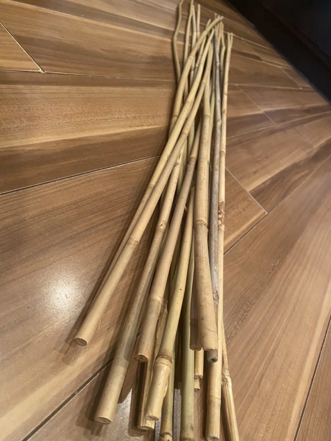 Decorative bamboo image indicator(3)