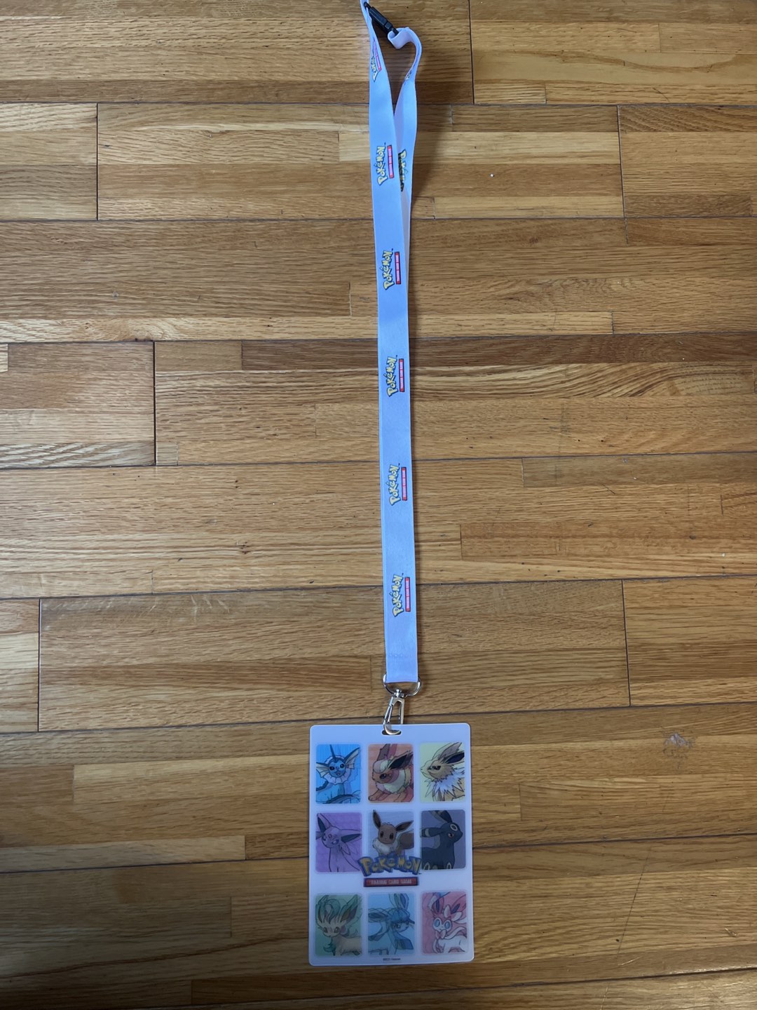 Pokémon lanyard image indicator(2)