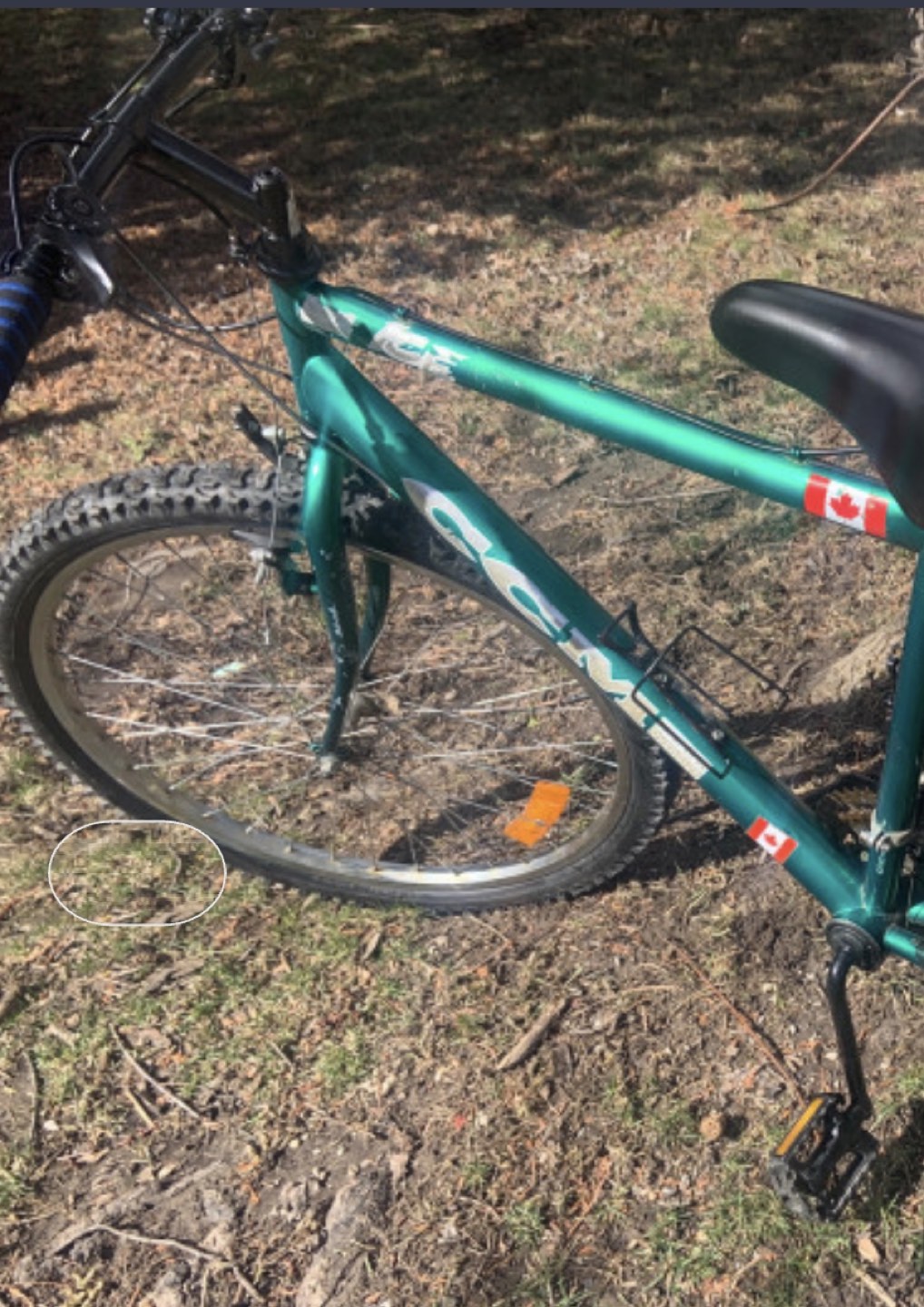 CCM , ICE 21 speed.26 inches wheels mountain bike image indicator(3)