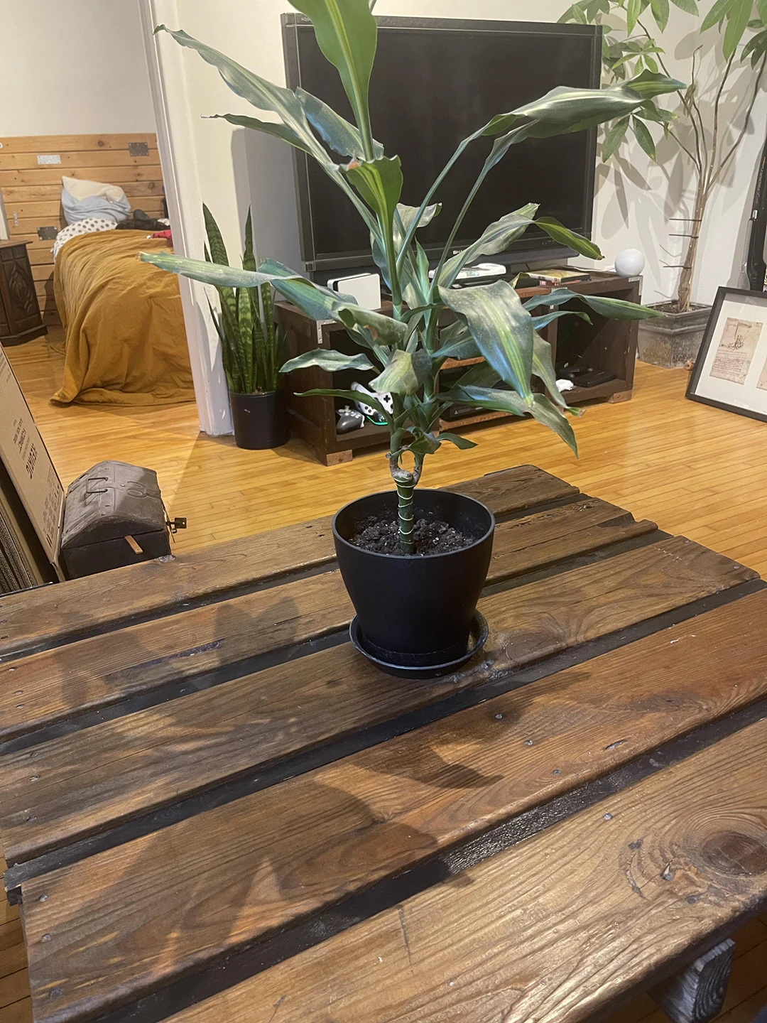 Homemade table with wheels