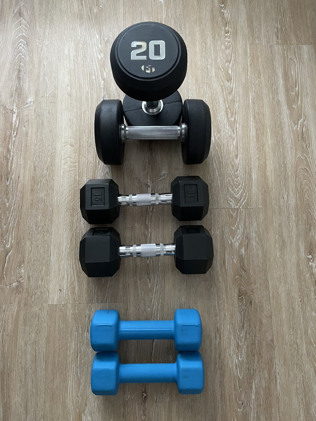 Dumbbells (10, 15 and 20lbs)