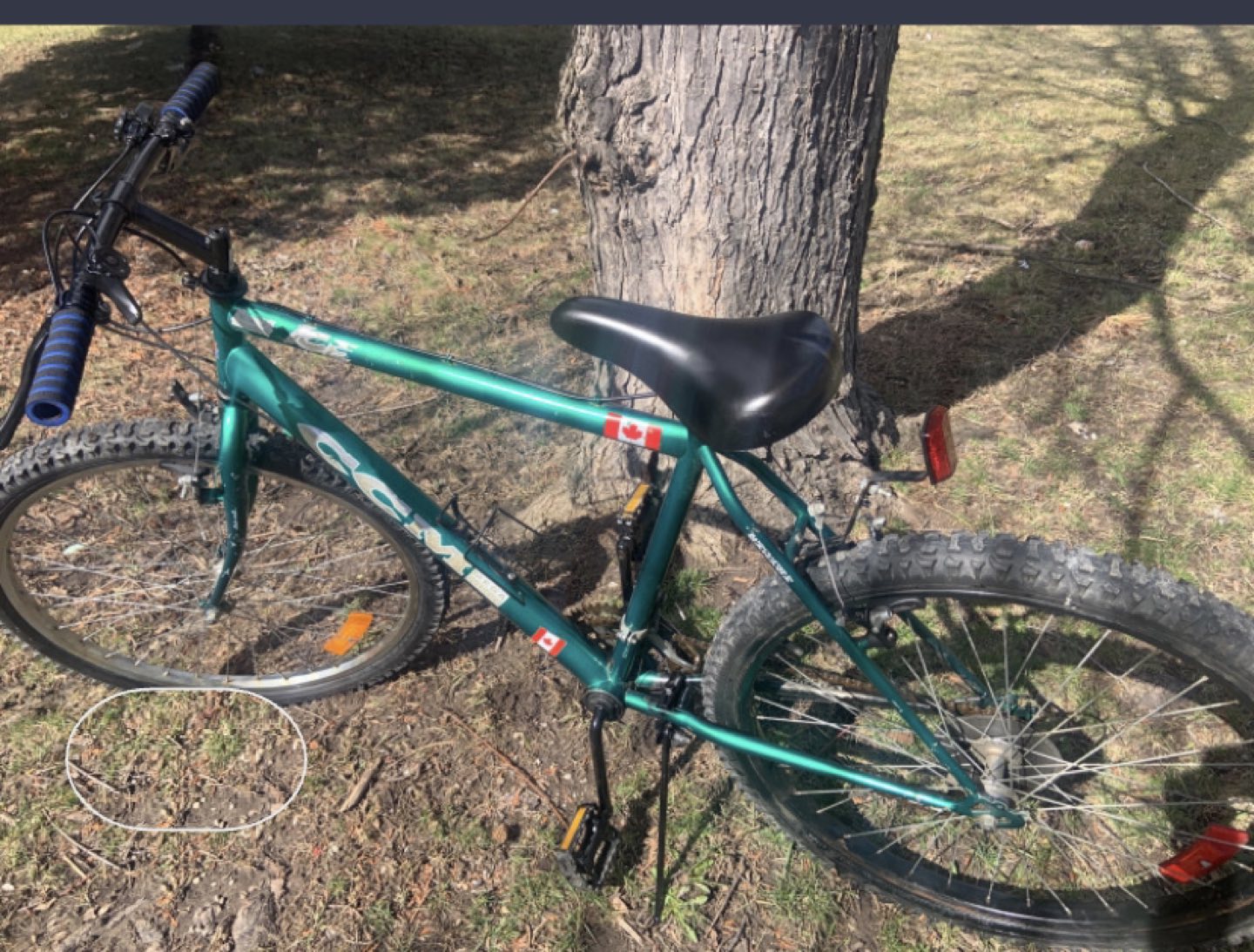 CCM , ICE 21 speed.26 inches wheels mountain bike image indicator(2)