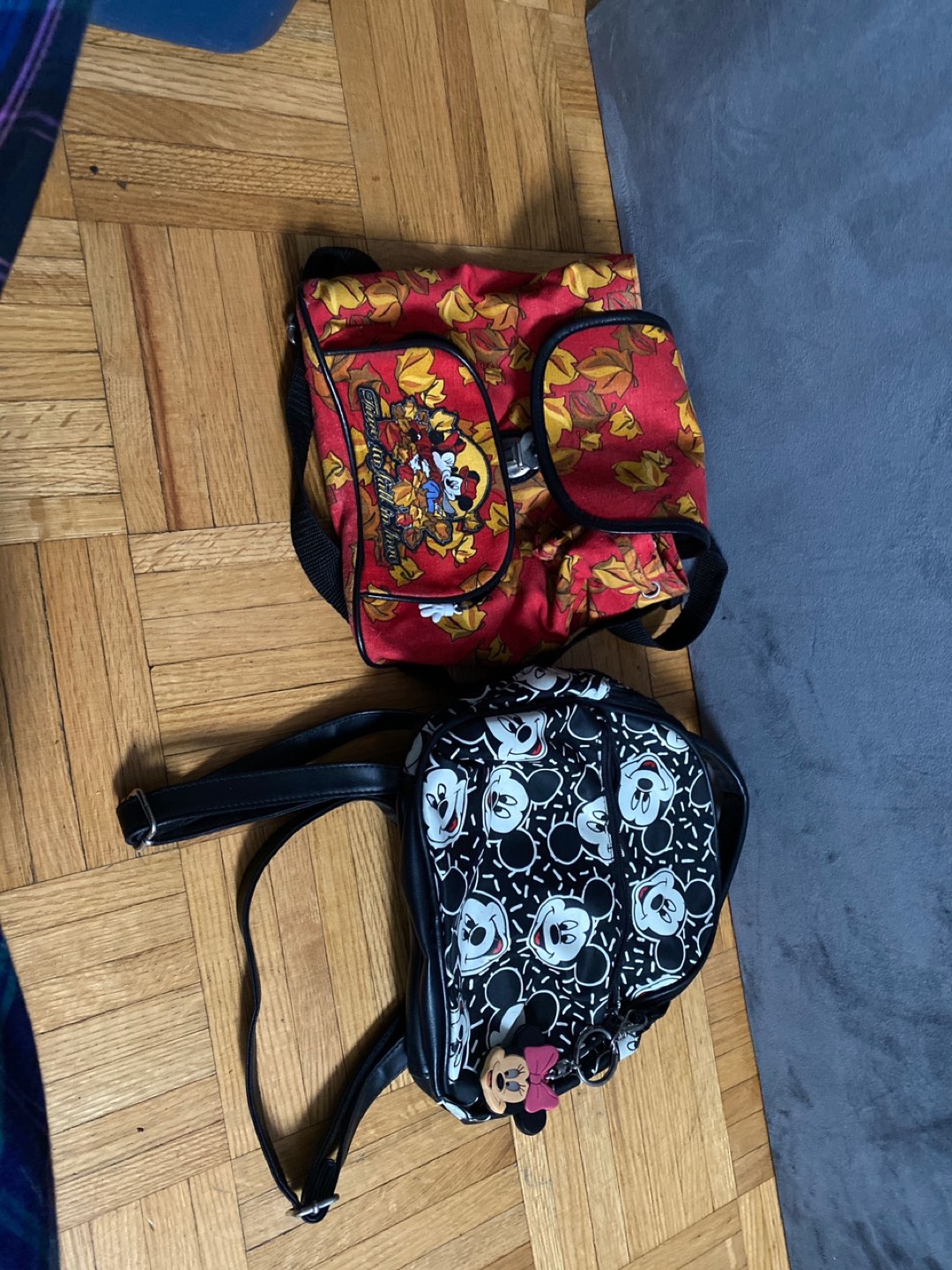 Mini Backpacks thumbnail