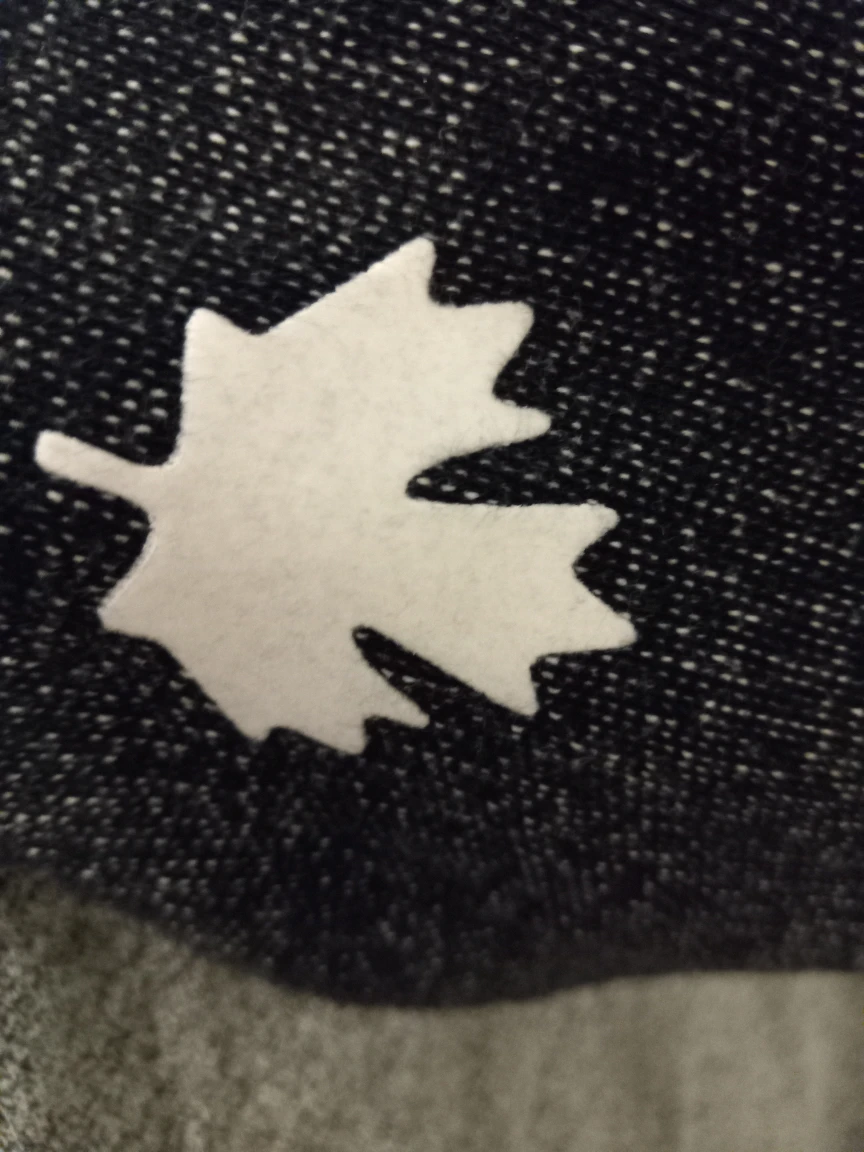 Roots Zipper Hoodie - photo 5