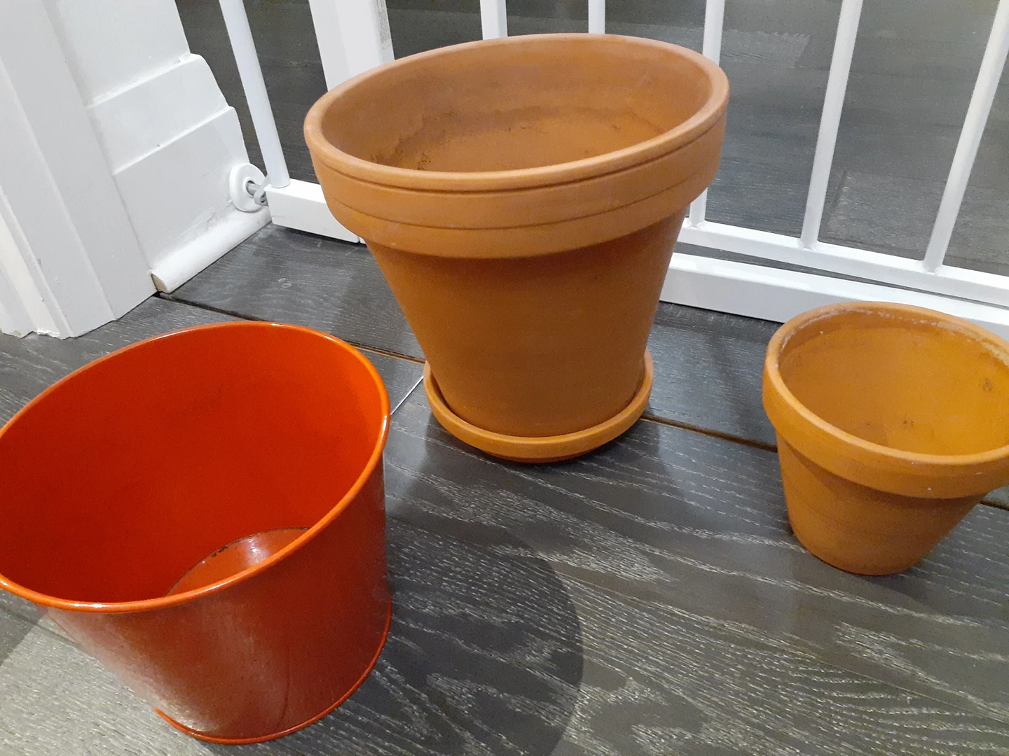 [SPRING] Terra cotta planters, orchid, miracle gro thumbnail