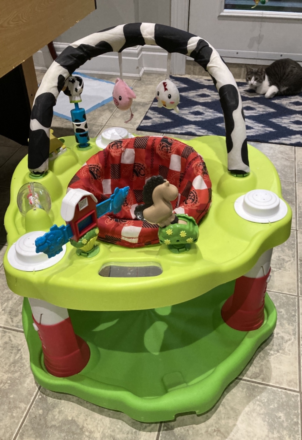 Evenflo exersaucer maga bouncing thumbnail