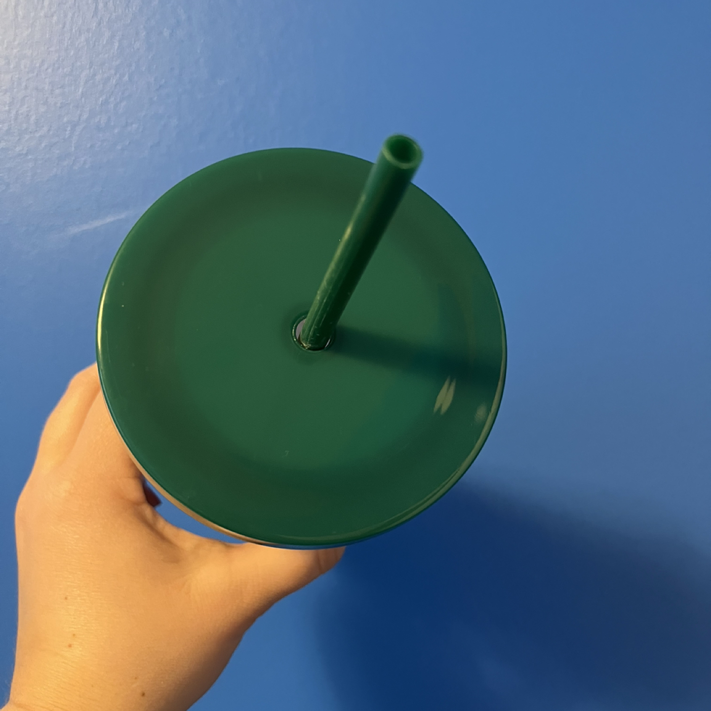 Ban.do Daisy Sip Sip 24oz Tumbler with Reusable Straw image indicator(3)