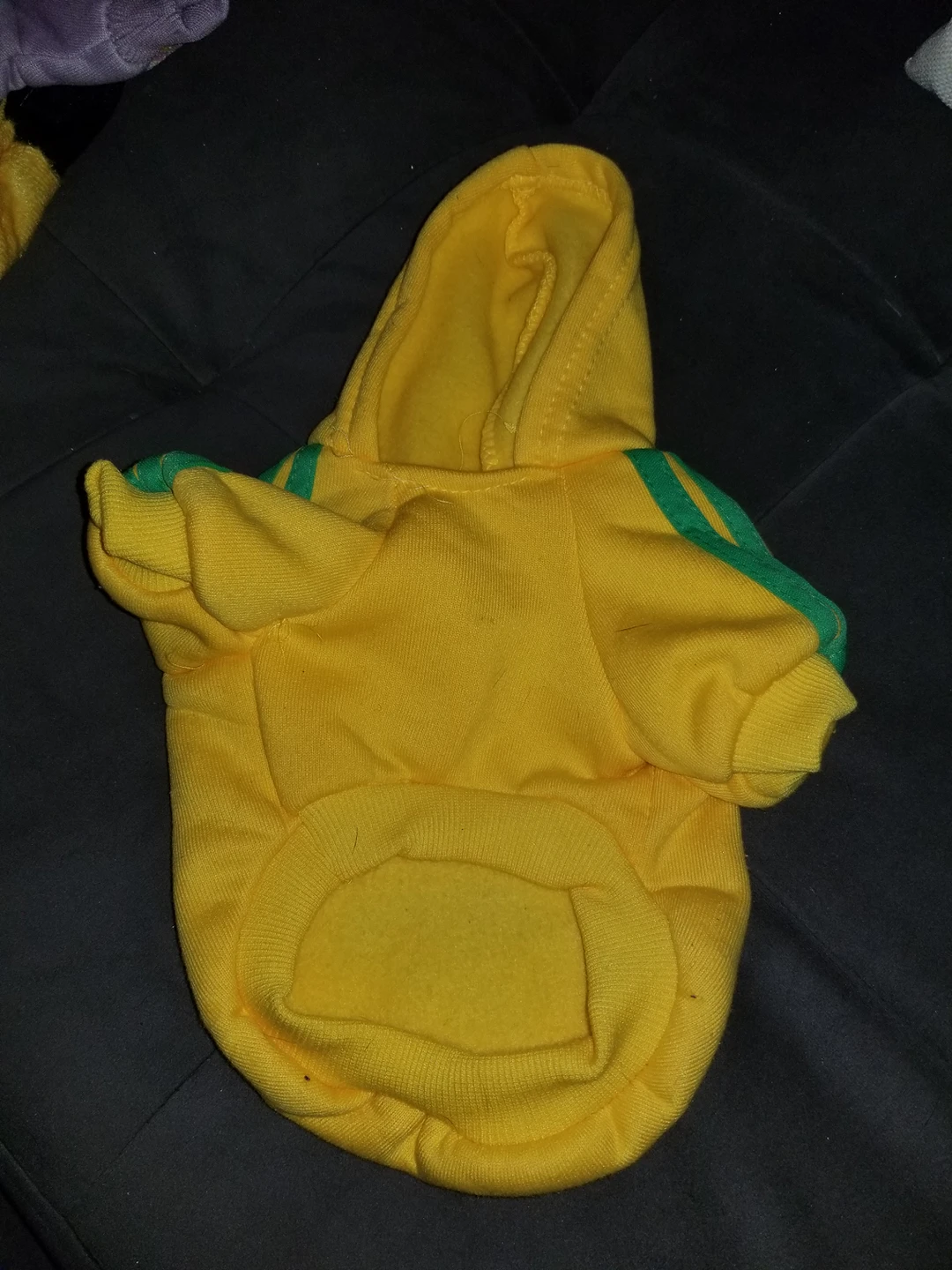 Dog Hoodie image indicator(2)