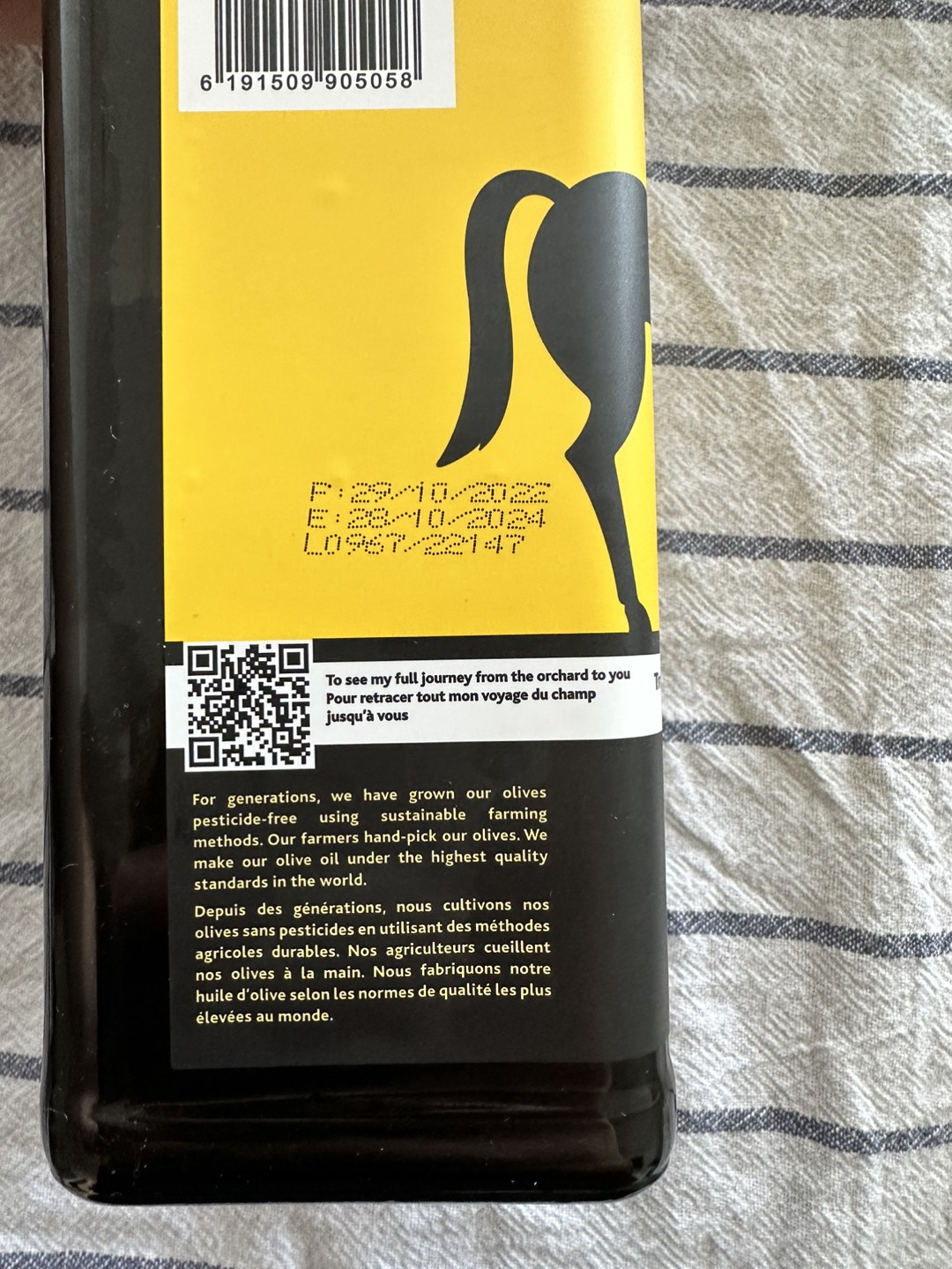 TERRA DELYSSA Olive Oil Bottle - photo 2
