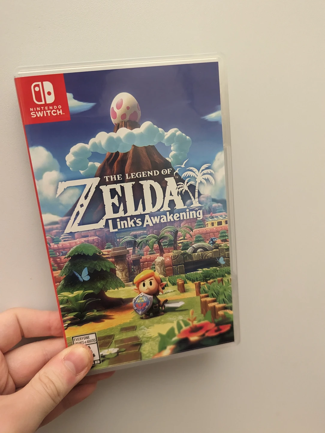 Legend of Zelda: Link's Awakening (for switch) thumbnail