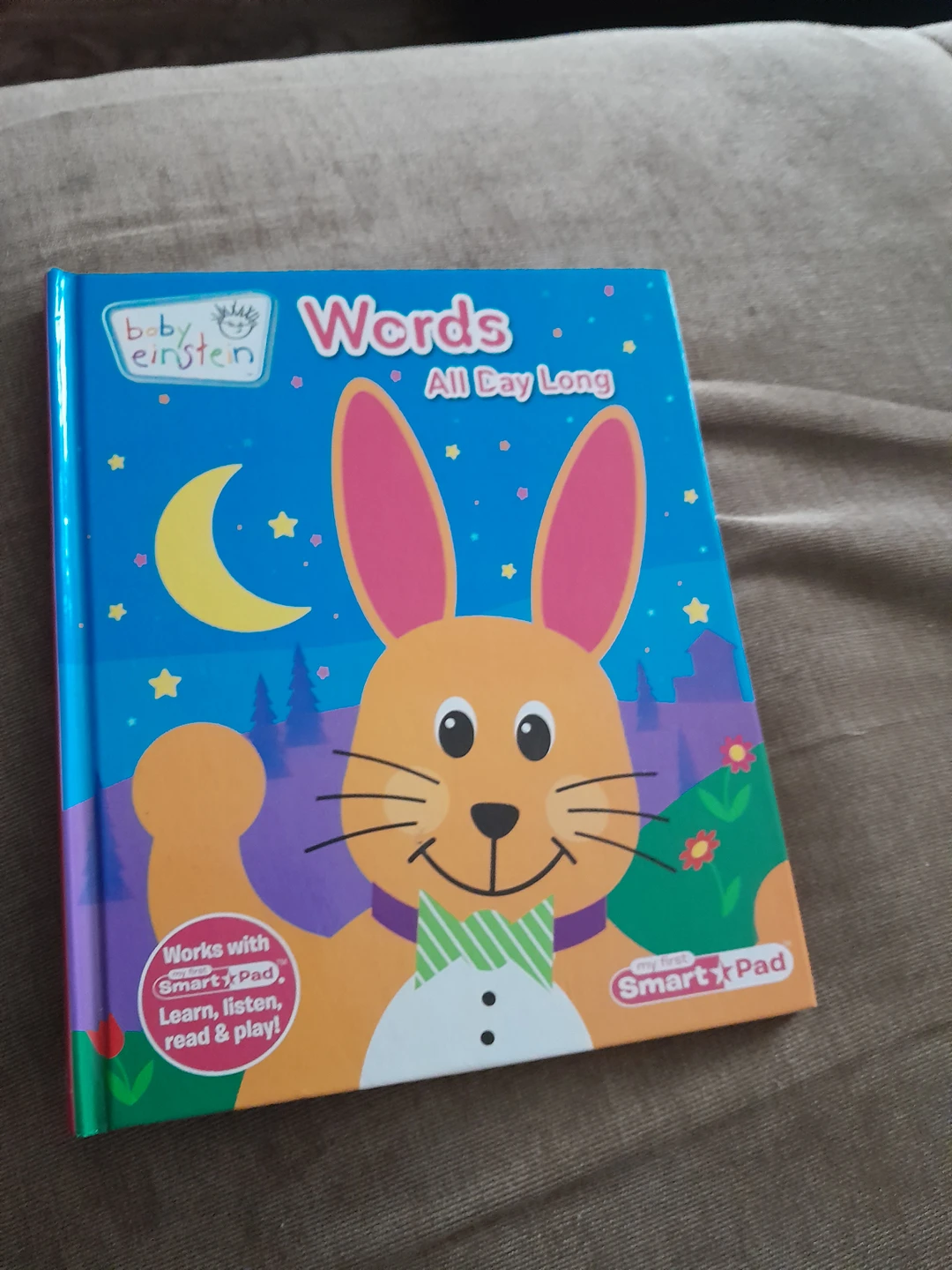 Baby einstein word book
