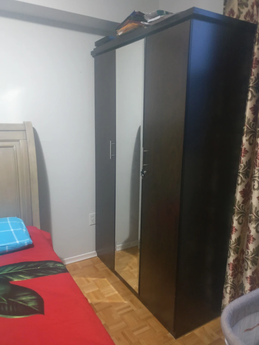 New closet 3 parts in the middle there is a full view mirror - photo 2