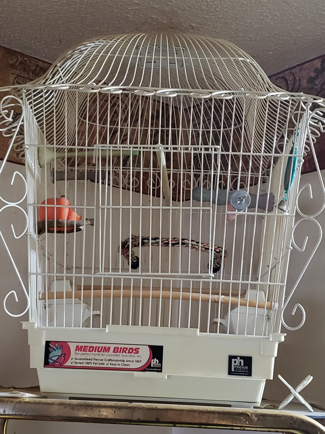 Large Bird Cage