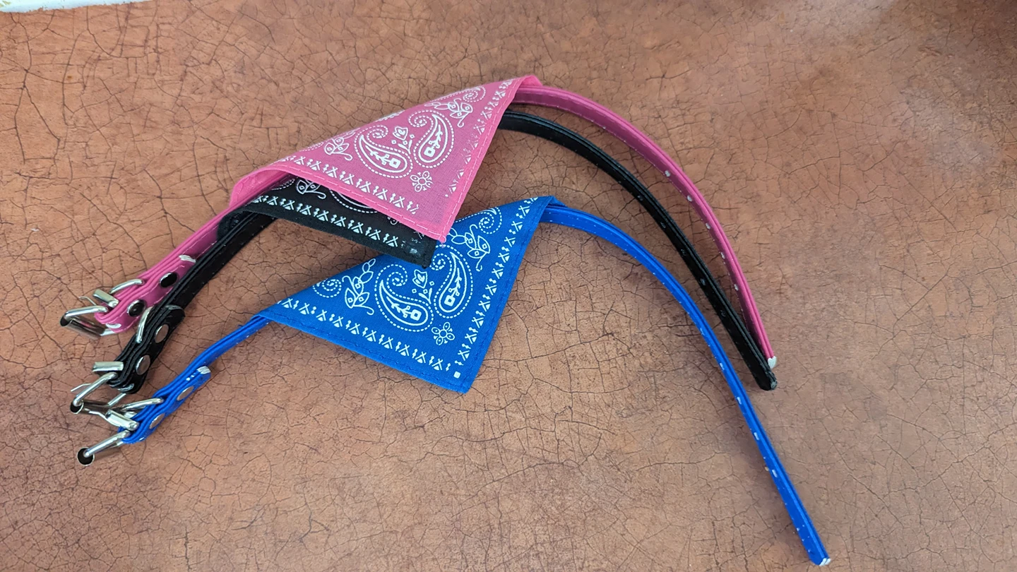 3 small dog or cat collars with bandana #freecycle thumbnail
