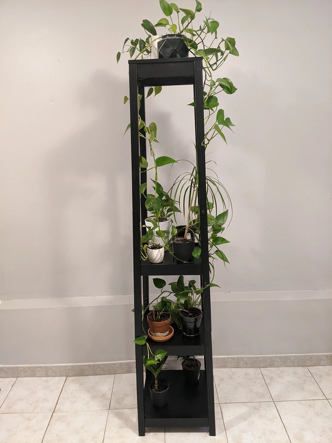 Plant Stand