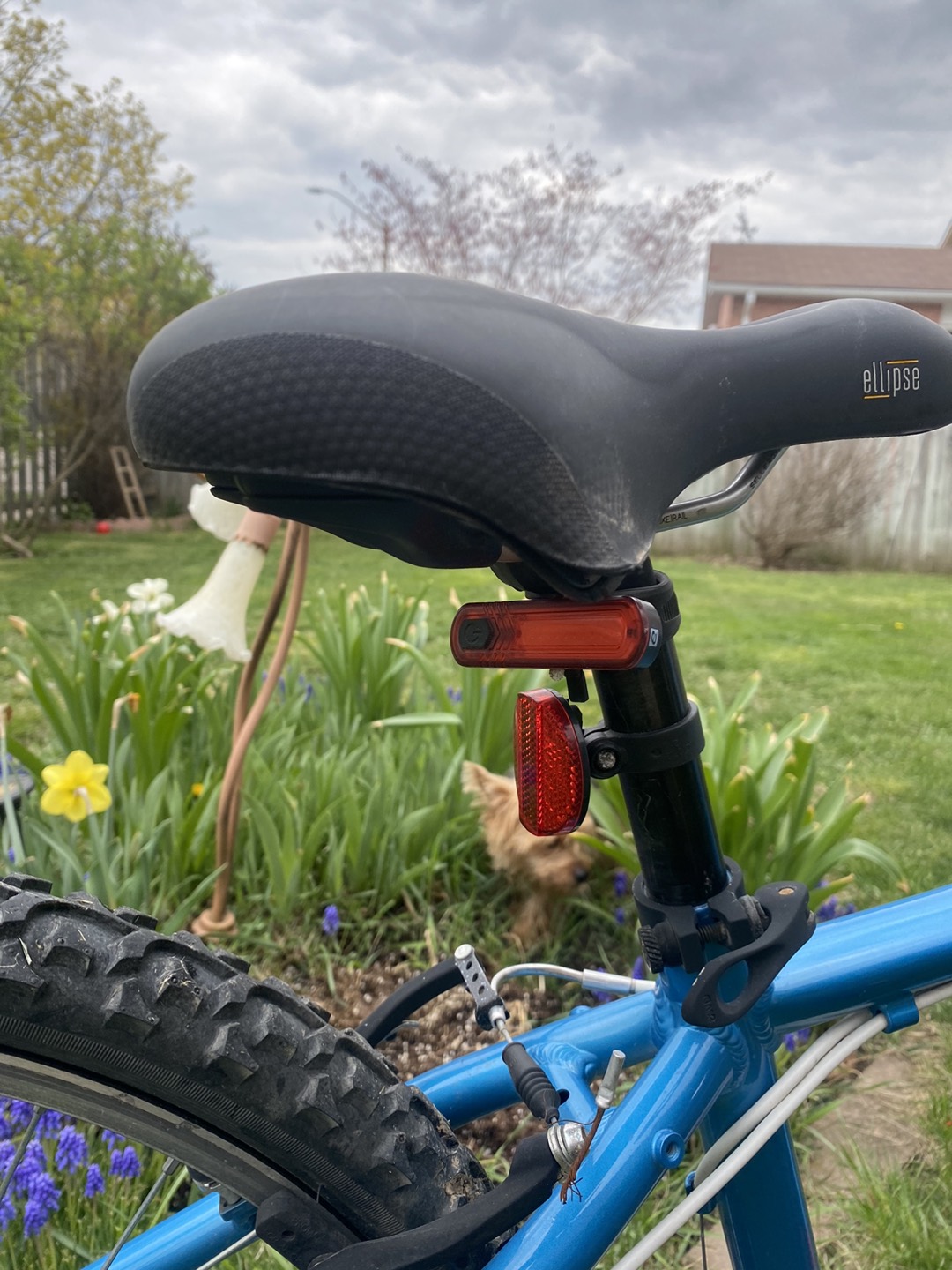 BIKE GIANT - photo 3