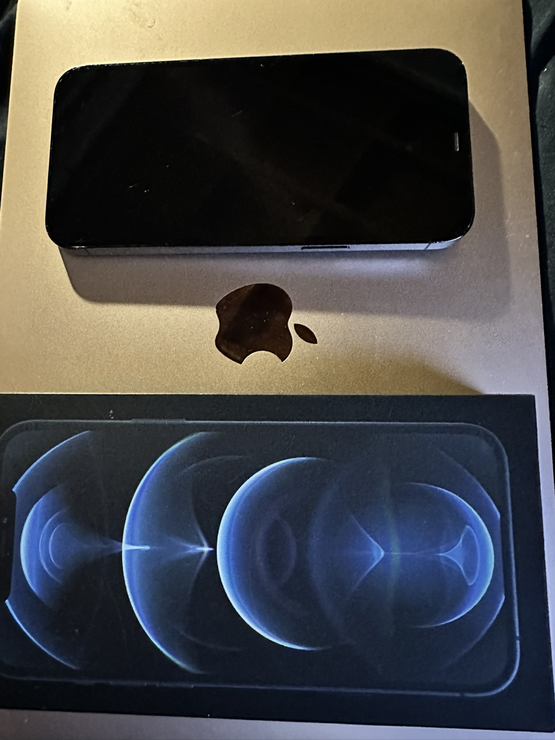 IPhone 12 Pro Max 128gb Pacific Blue, Charger & Otterbox Case image indicator(4)