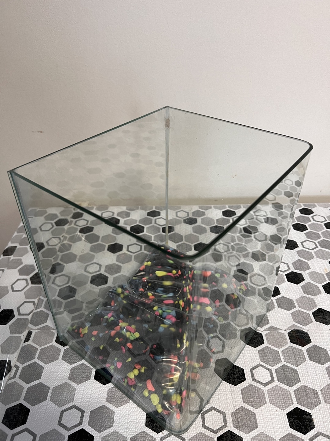 Fish Tank - photo 3