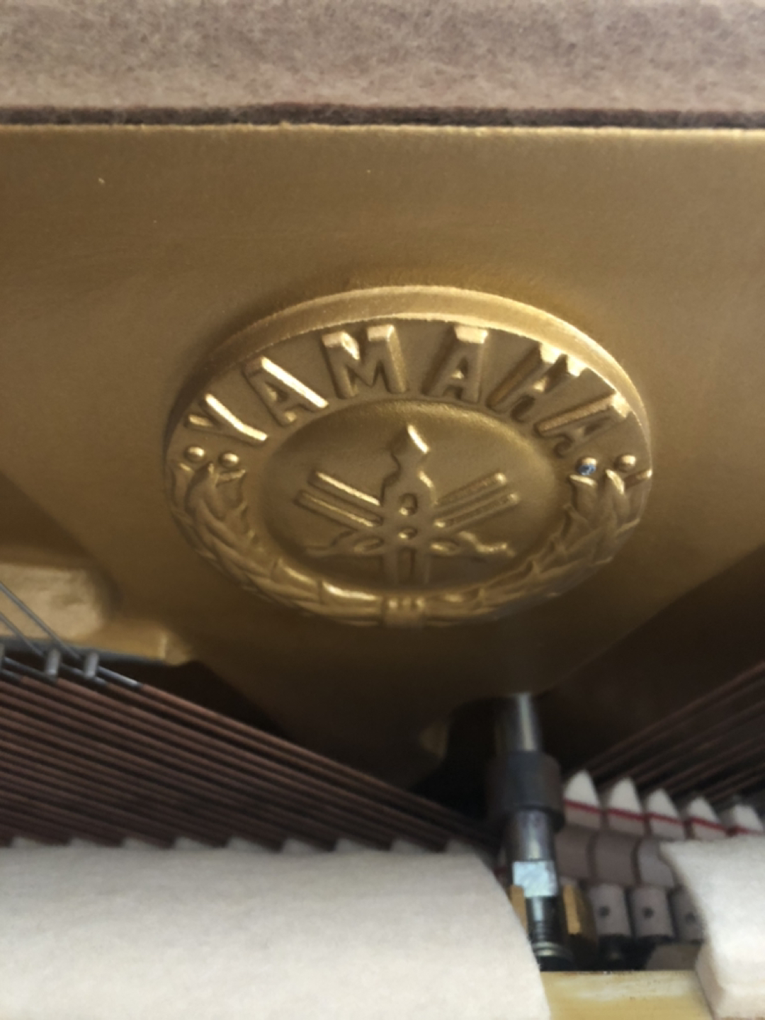 Piano - photo 5