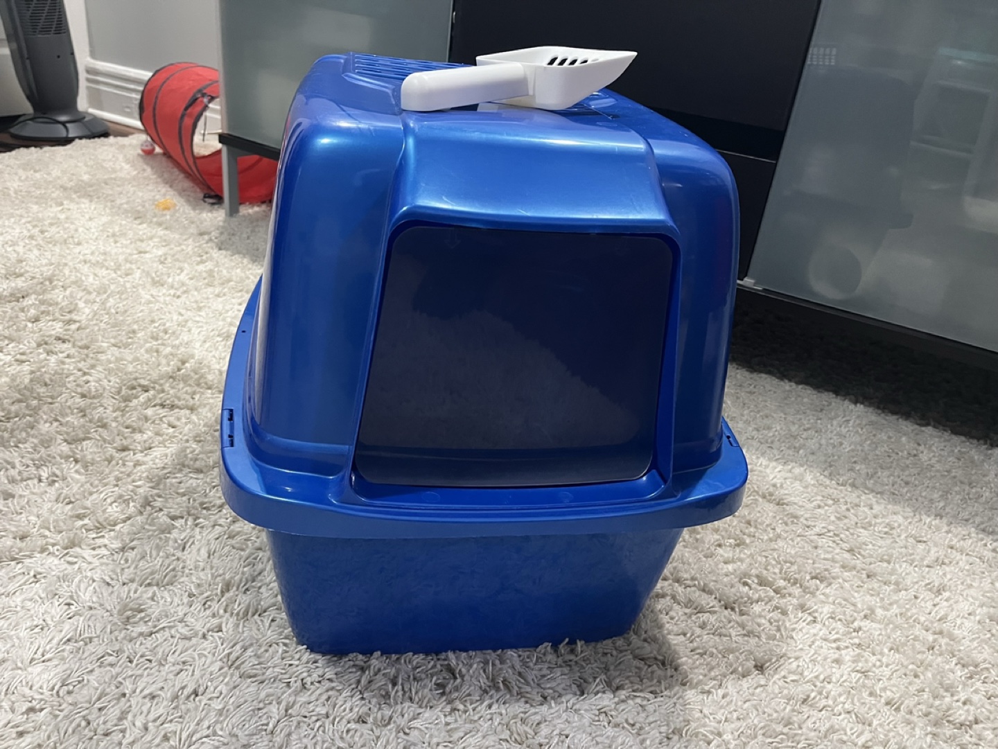 Blue Cat Litter Box thumbnail