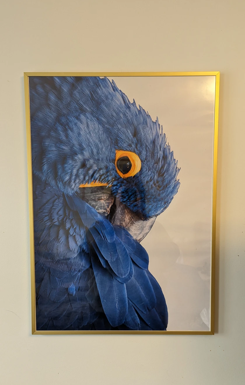 Frame with print thumbnail