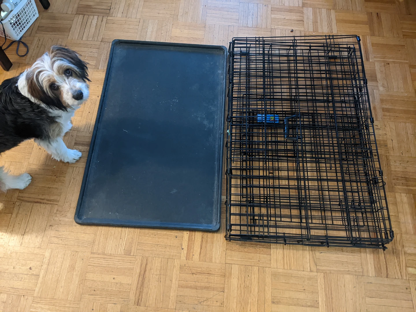 Dog crate Top Paw brand image indicator(7)