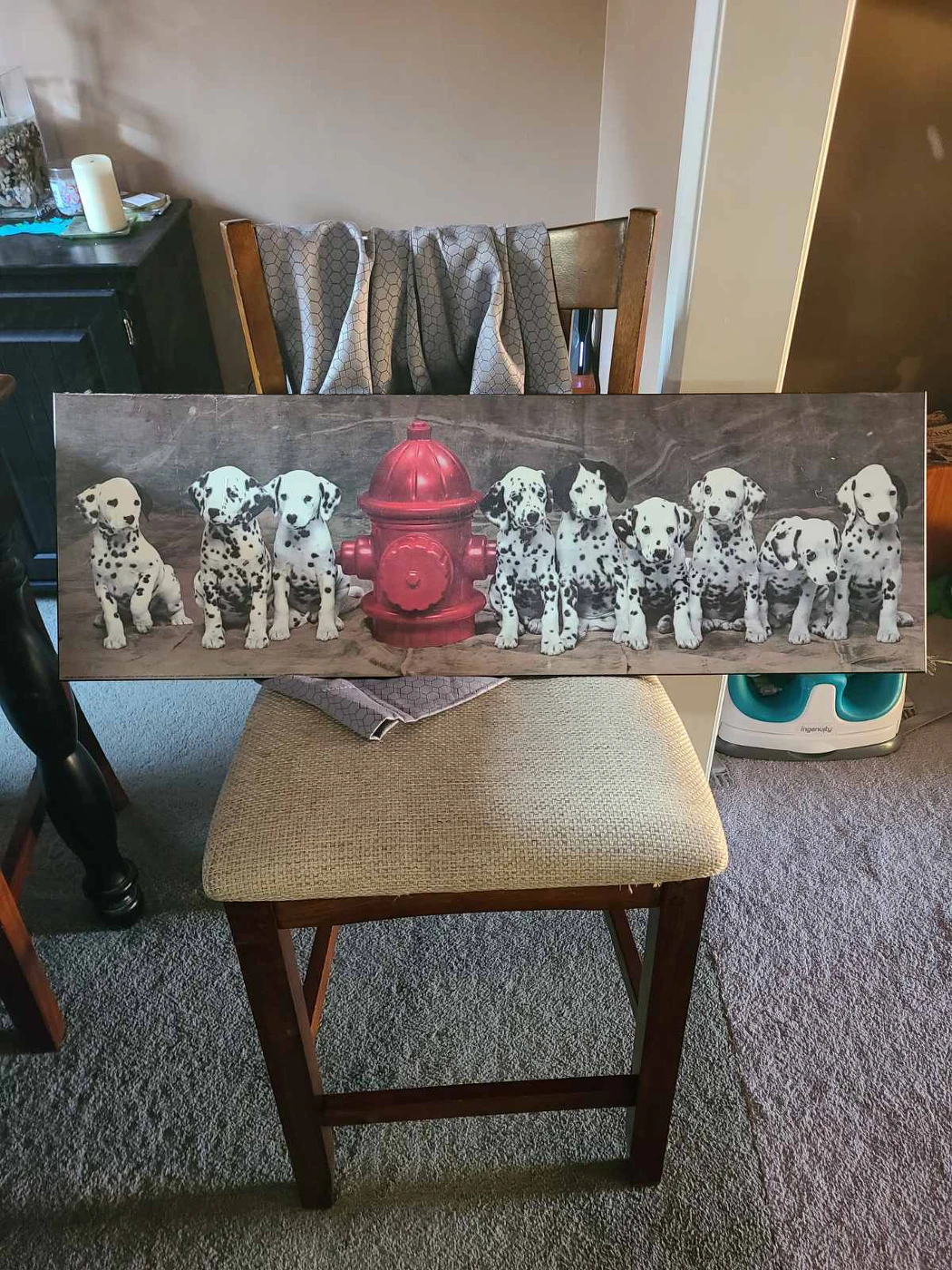 101 Dalmatian picture