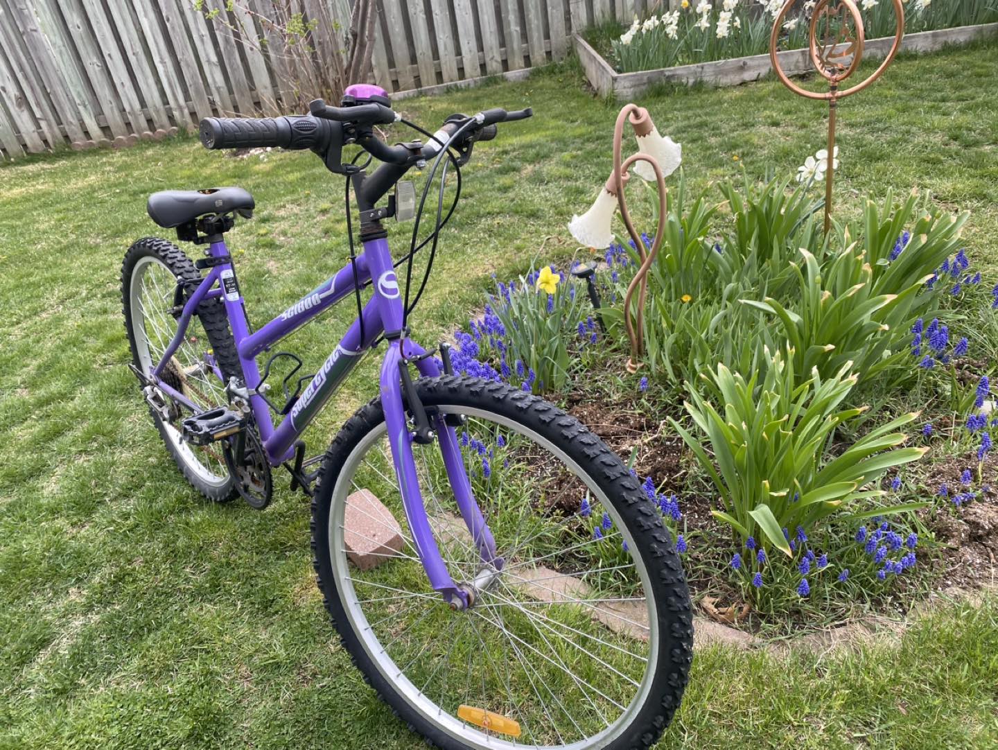 BIKE - photo 3