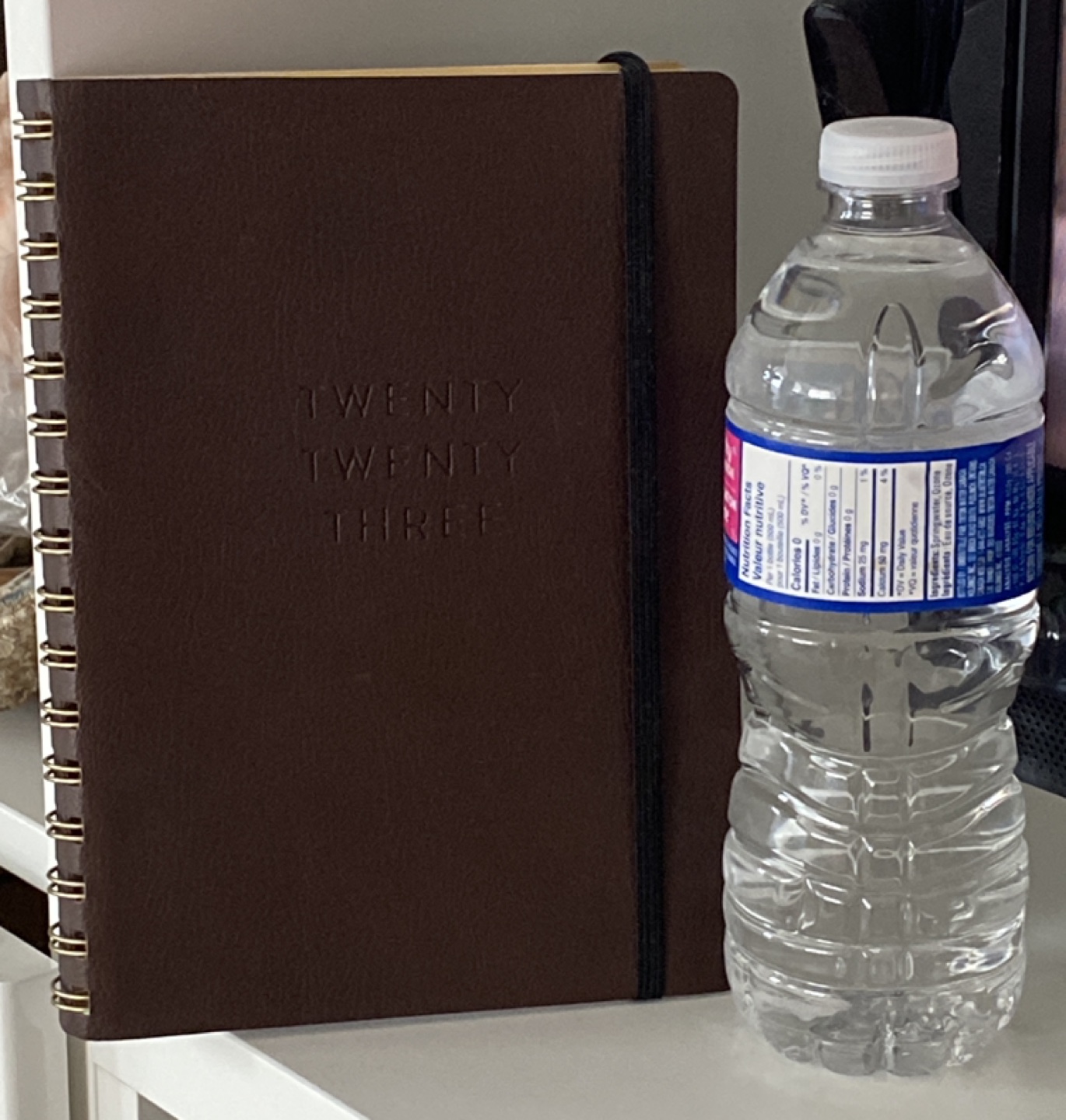 2023 Daily Planner