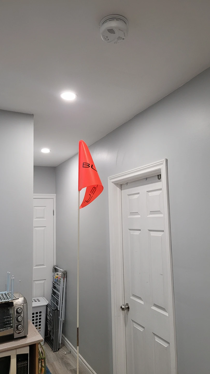 Burley bee single seat bike trailer image indicator(5)