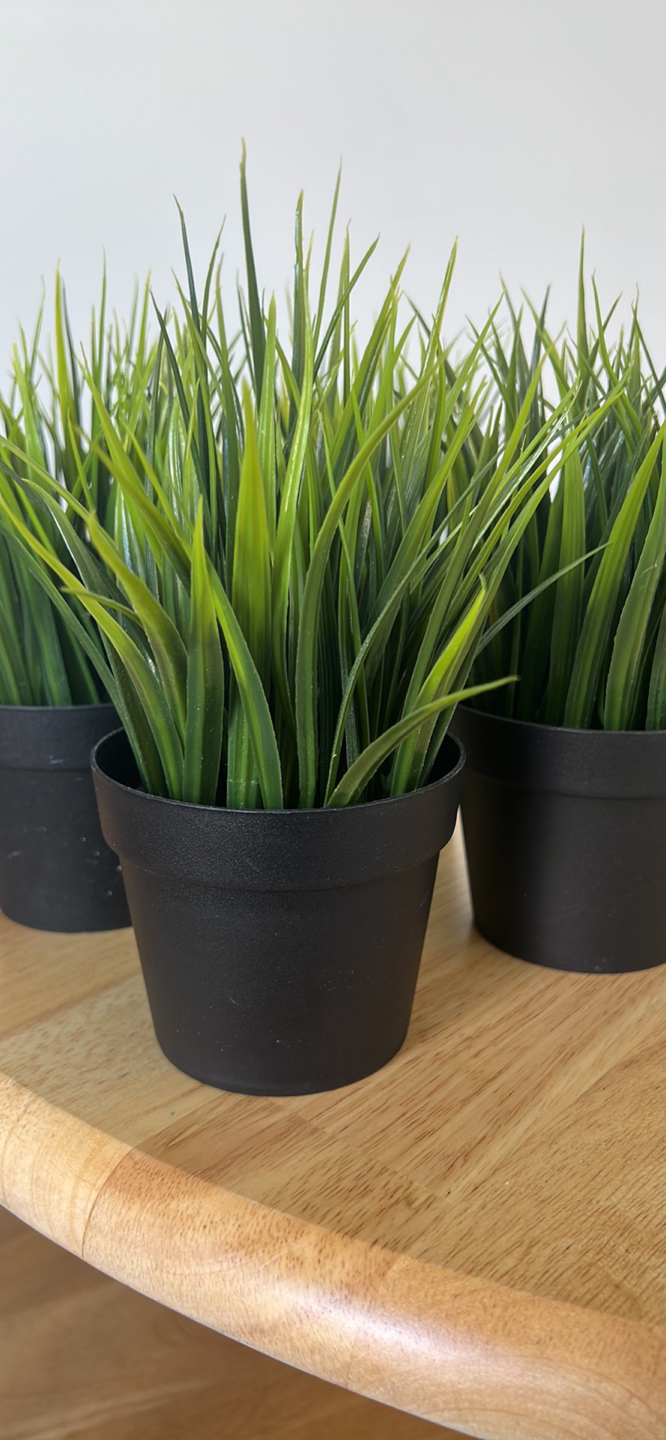 IKEA fake plants x4