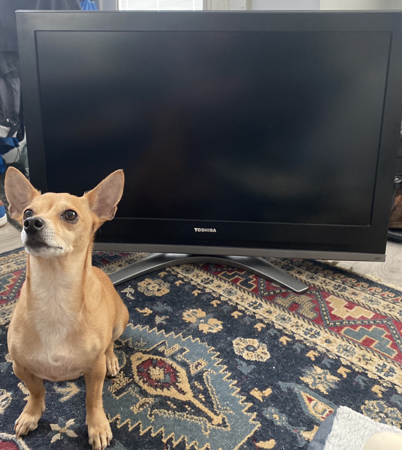 FREE! Toshiba TV screen is 37x37. Decent picture! #freecycle - photo 2