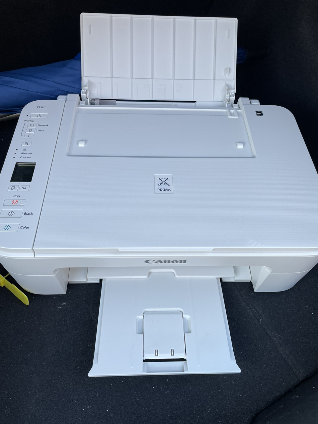 Canon Wireless Printer - photo 2