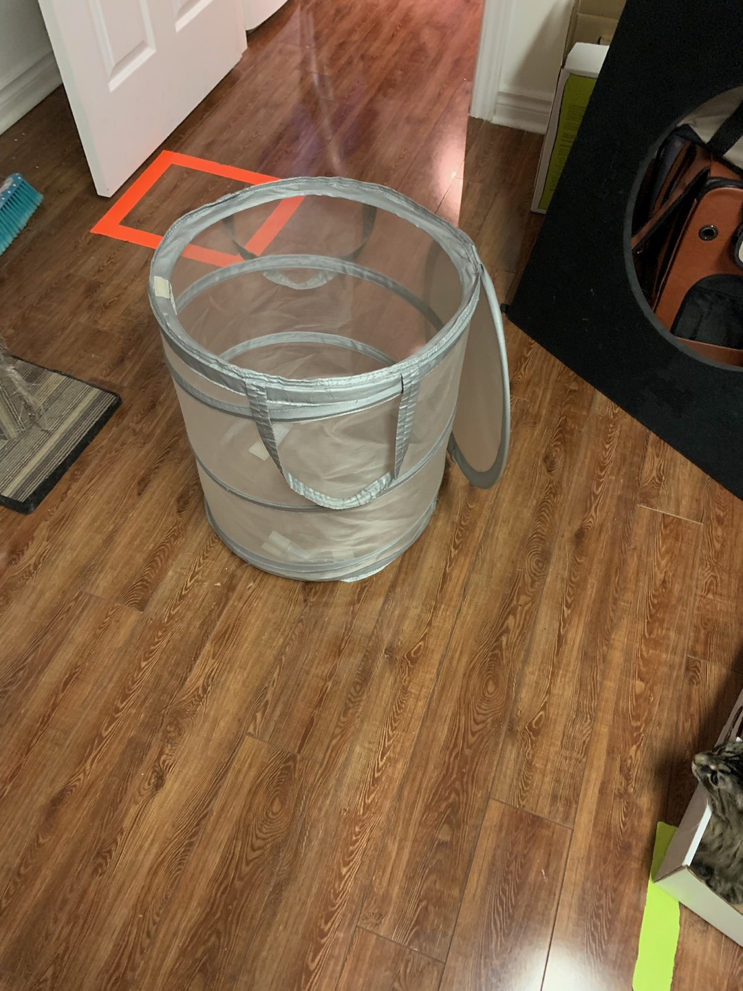 Foldable laundry basket Grey / Transparent thumbnail