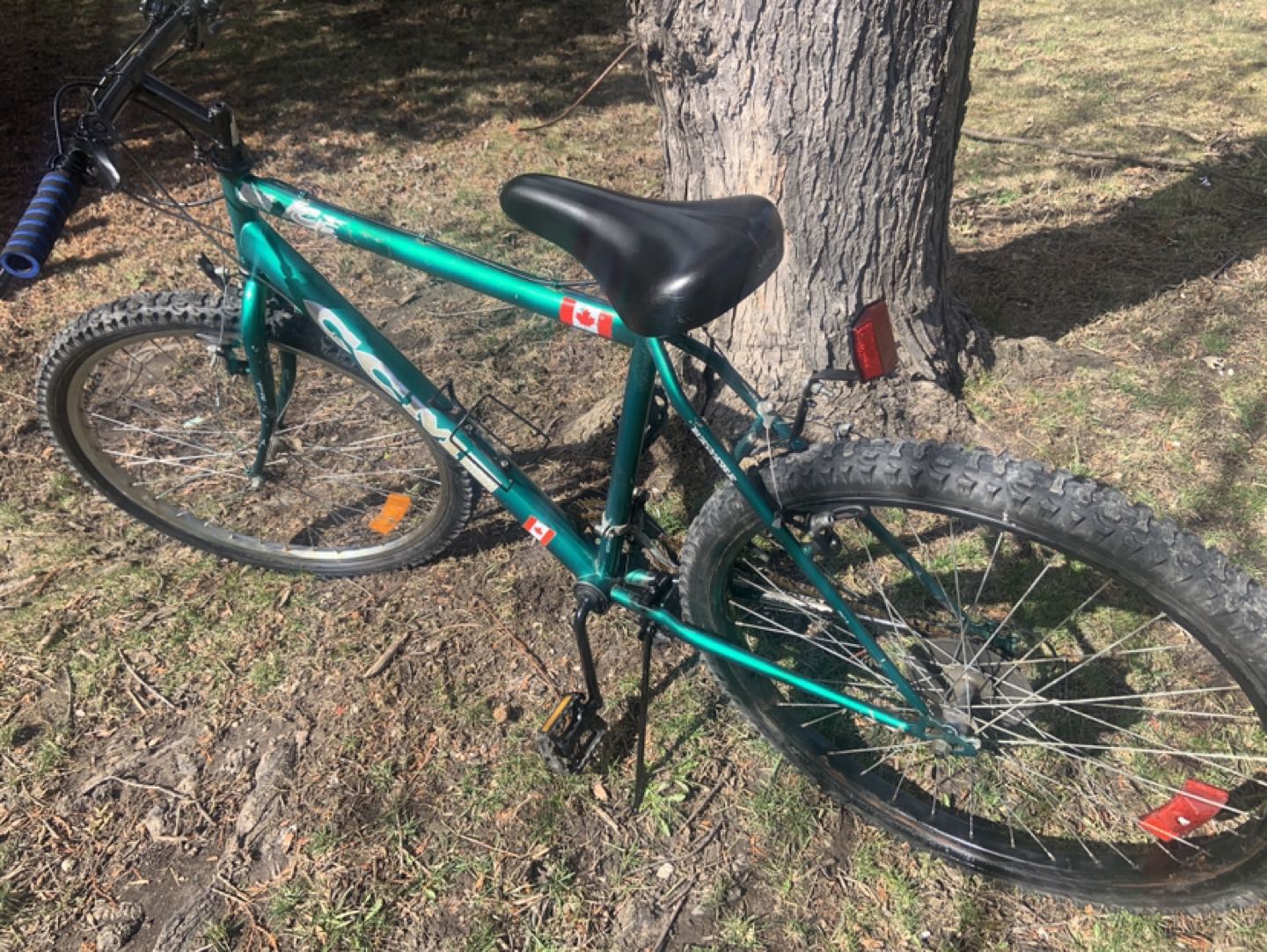 CCM , ICE 21 speed.26 inches wheels mountain bike image indicator(10)