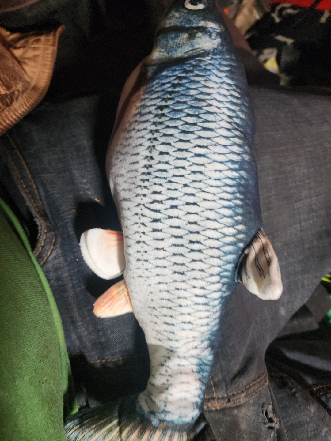 fish
