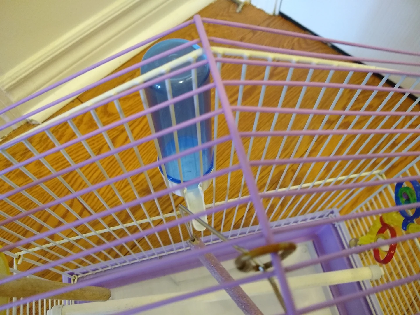 Bird Cage with Accessories image indicator(6)