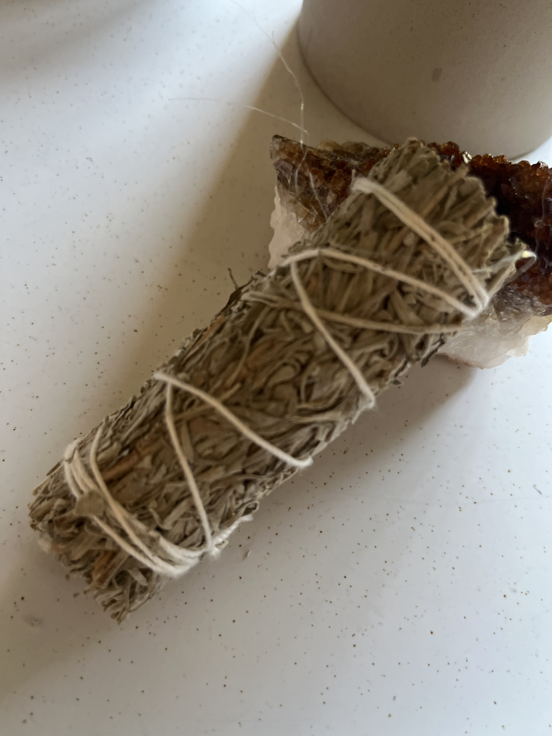 Blue Sage Bundle from California 3.5”