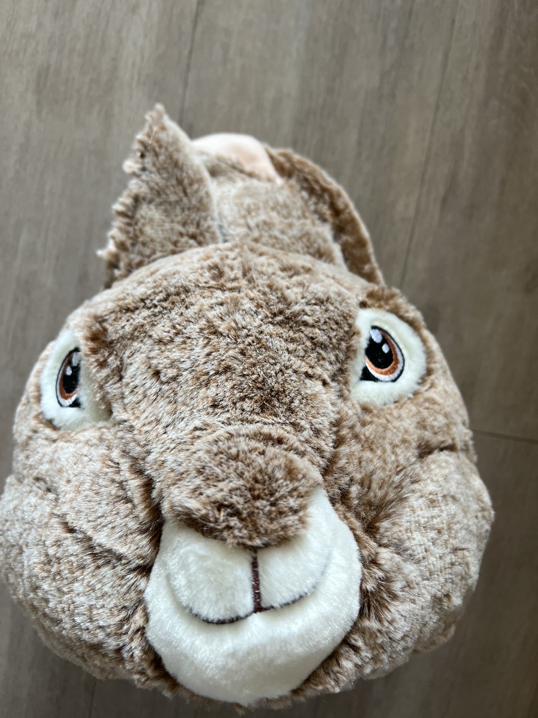 Peter Rabbit Easter basket