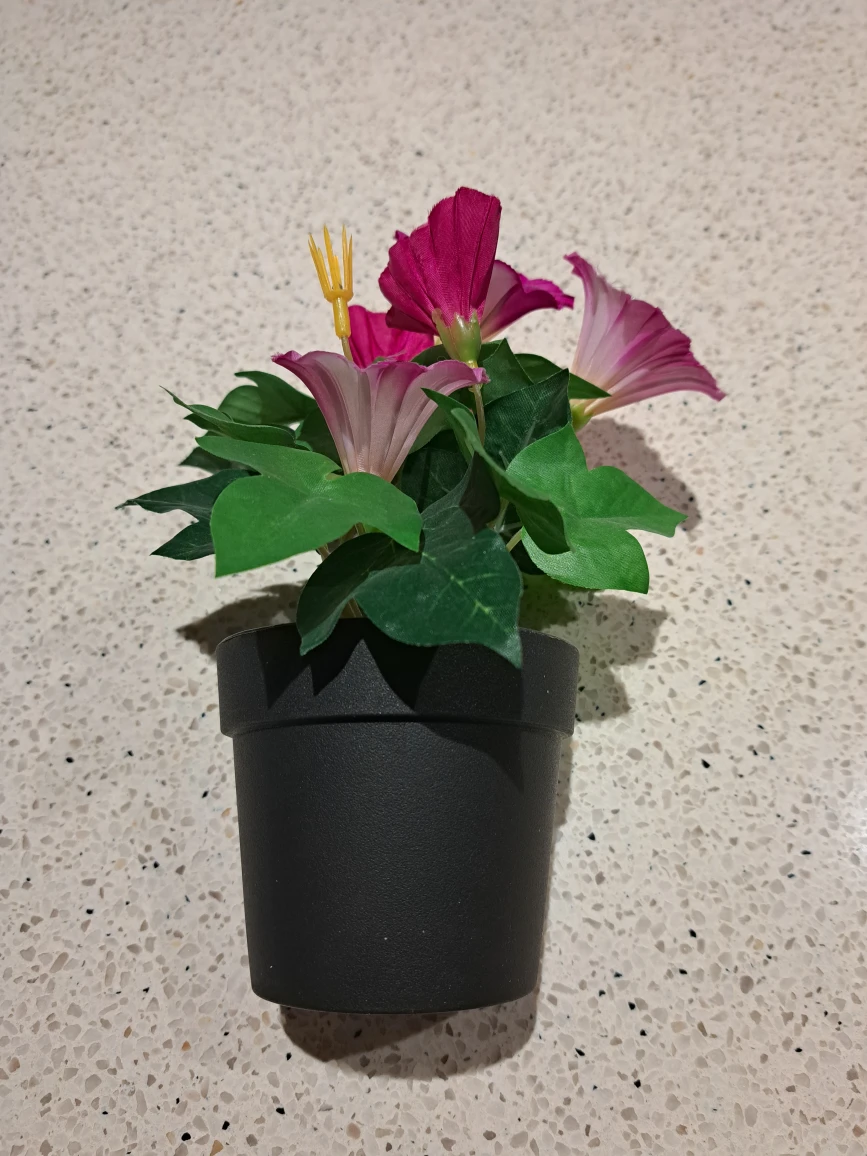 fake flower plant image indicator(2)