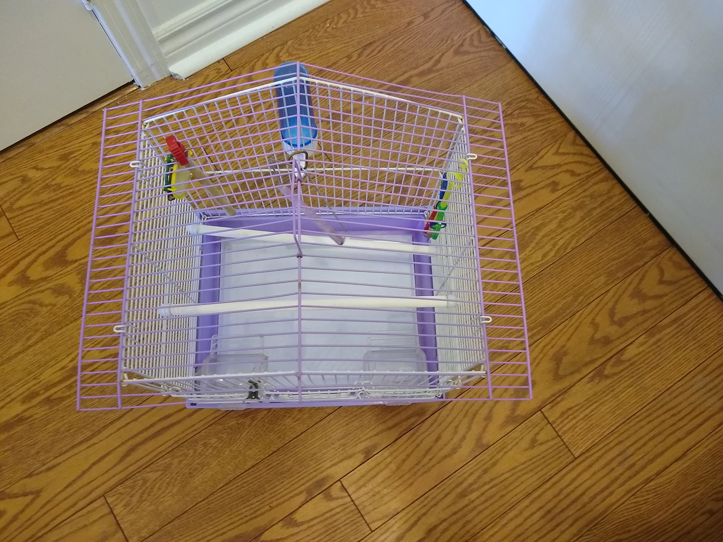 Bird Cage with Accessories image indicator(2)