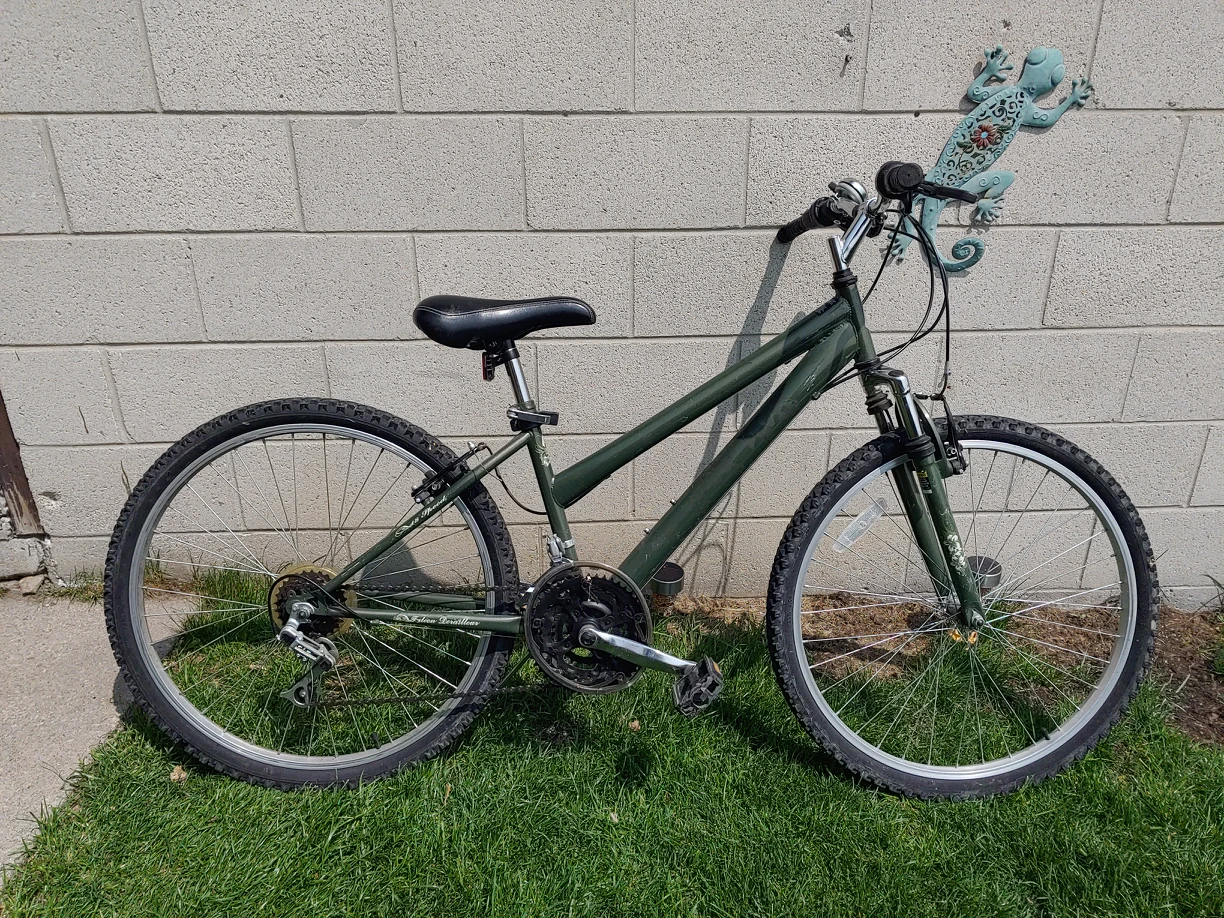 Lady's Bike