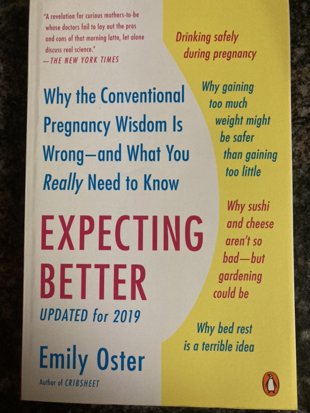Pregnancy Book- Emily Oster thumbnail