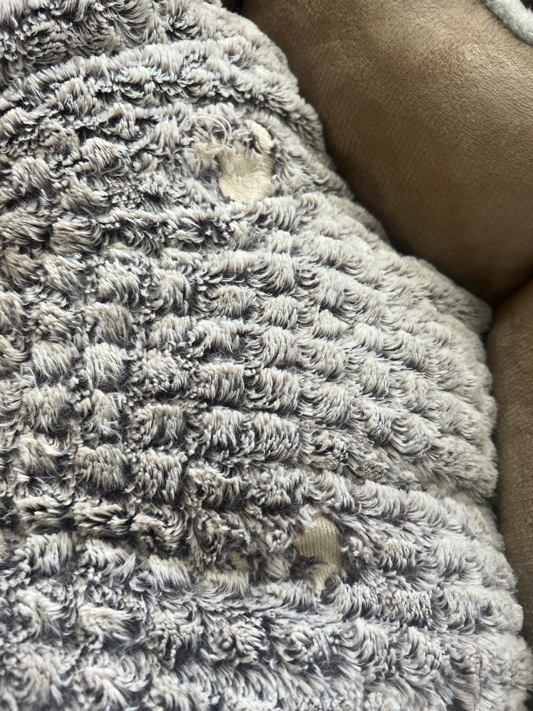 Dog Bed - photo 2