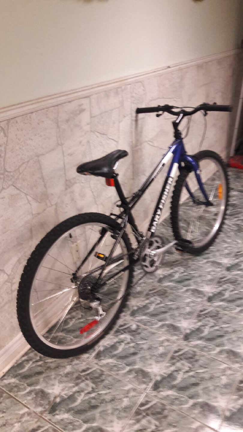 Gary Fisher Piranha mountain bike - photo 2