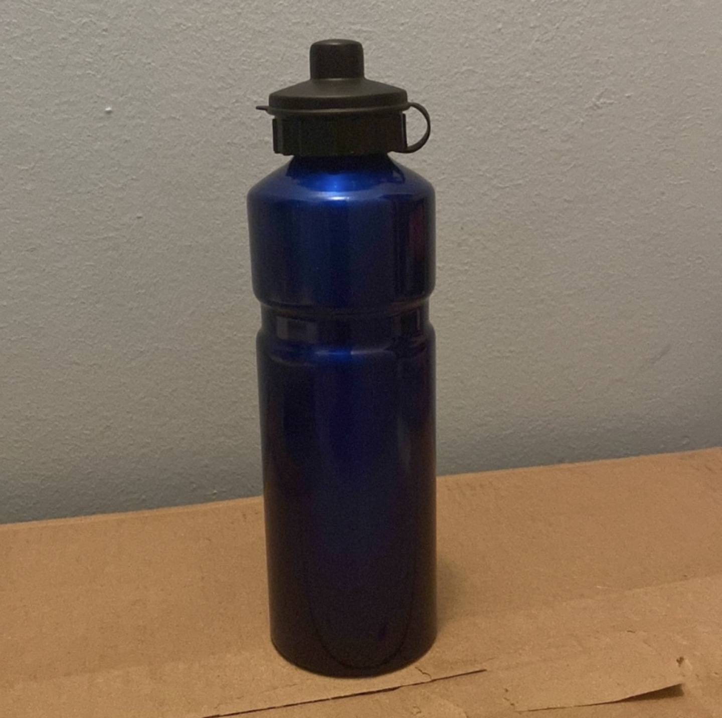 BLUE Stainless Steel Reusable Beverage Bottles - photo 5